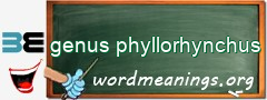 WordMeaning blackboard for genus phyllorhynchus